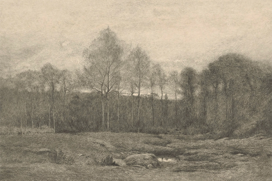 Forest Sketch