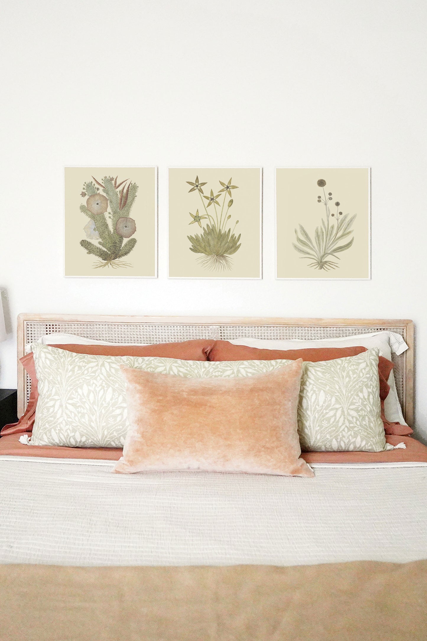 Cactus Flower III