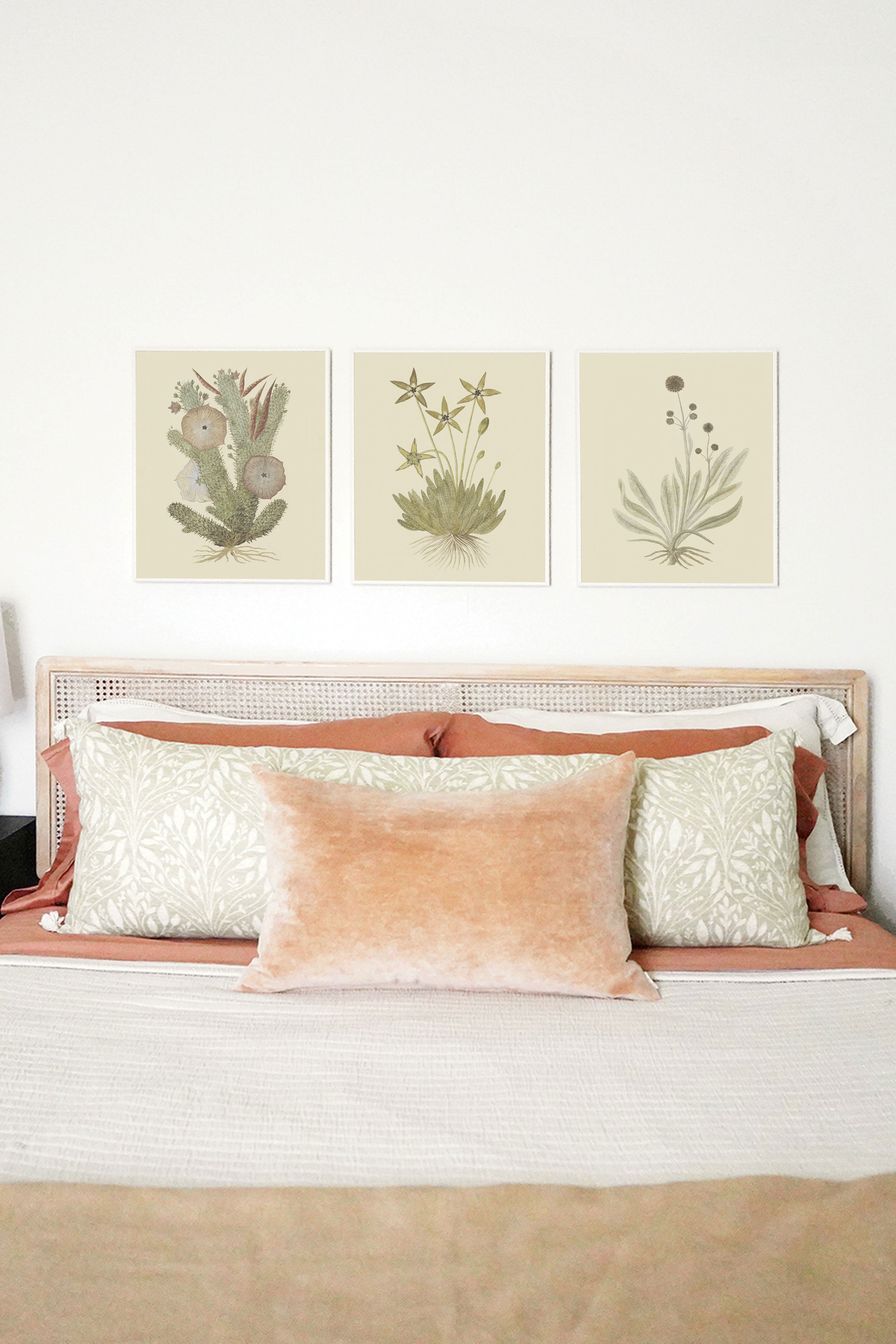 Cactus Flower I
