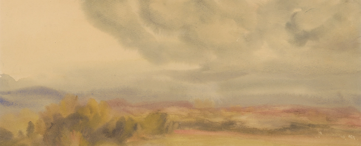 Cloudy Plains