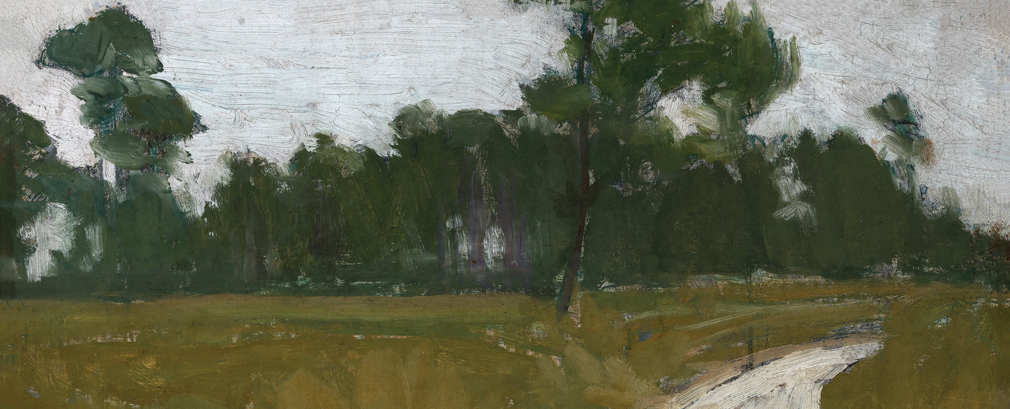 Creekbed