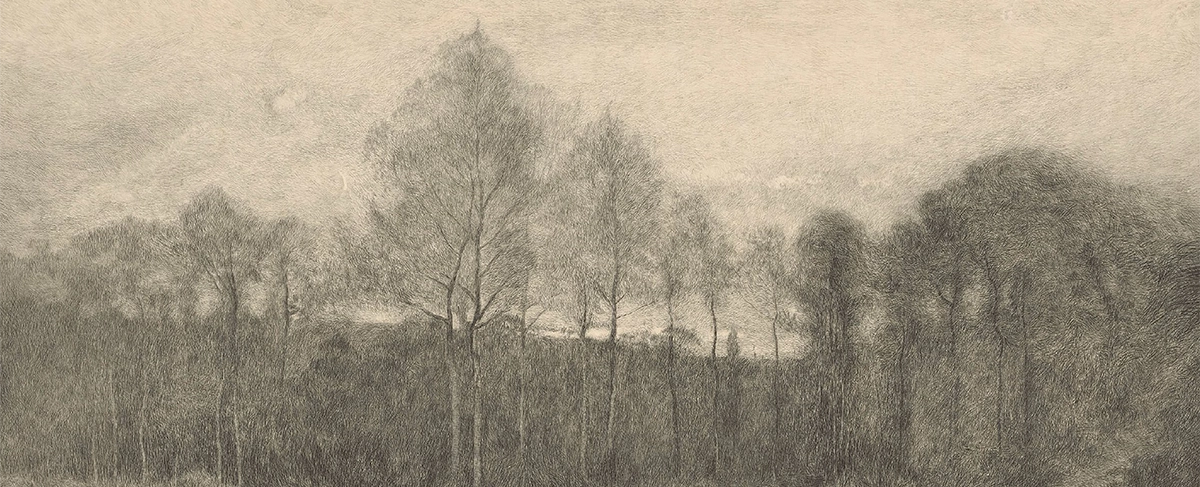 Forest Sketch