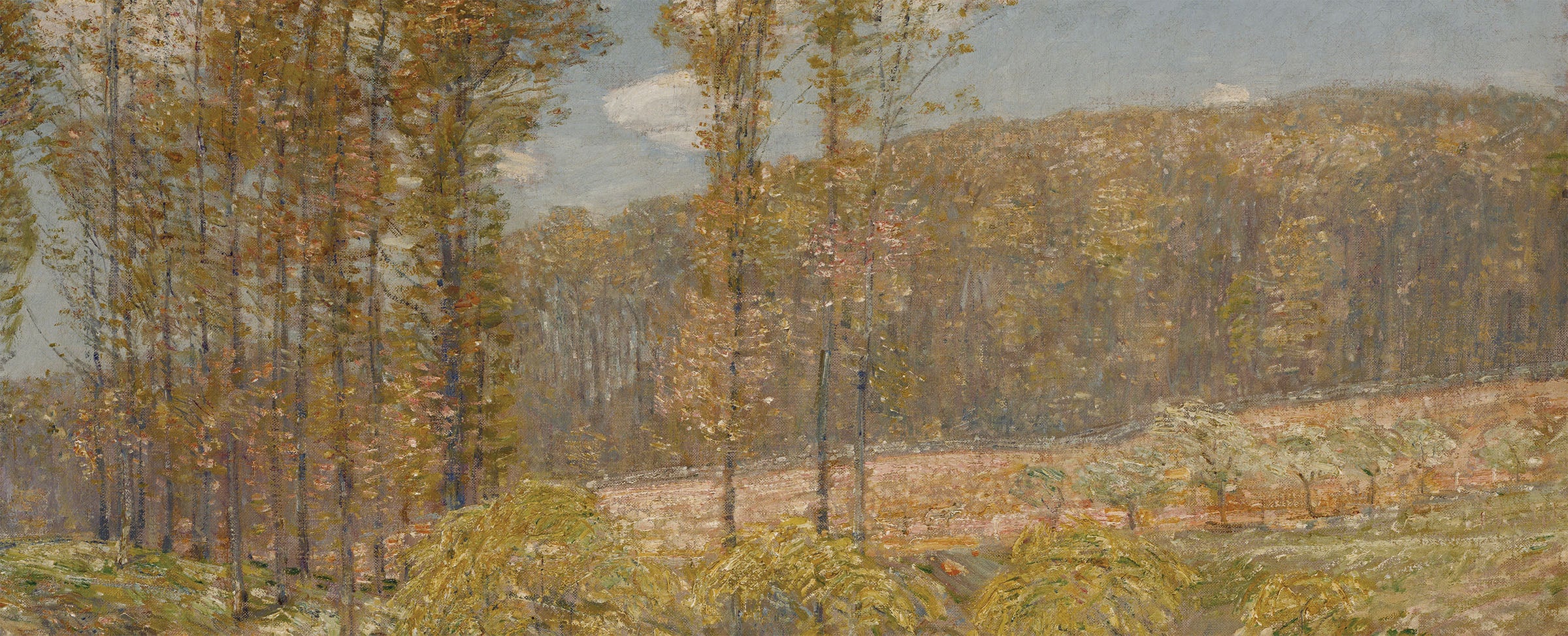 Grove