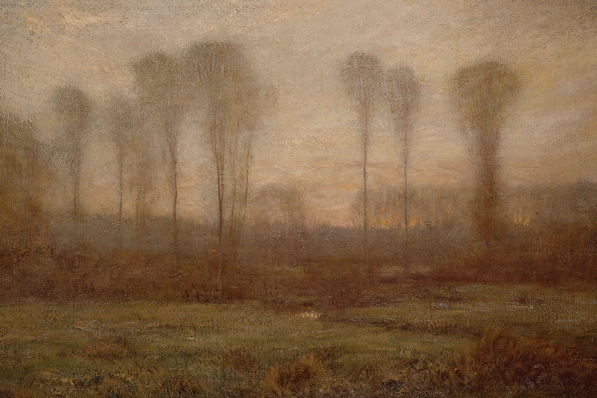 Morning Mist