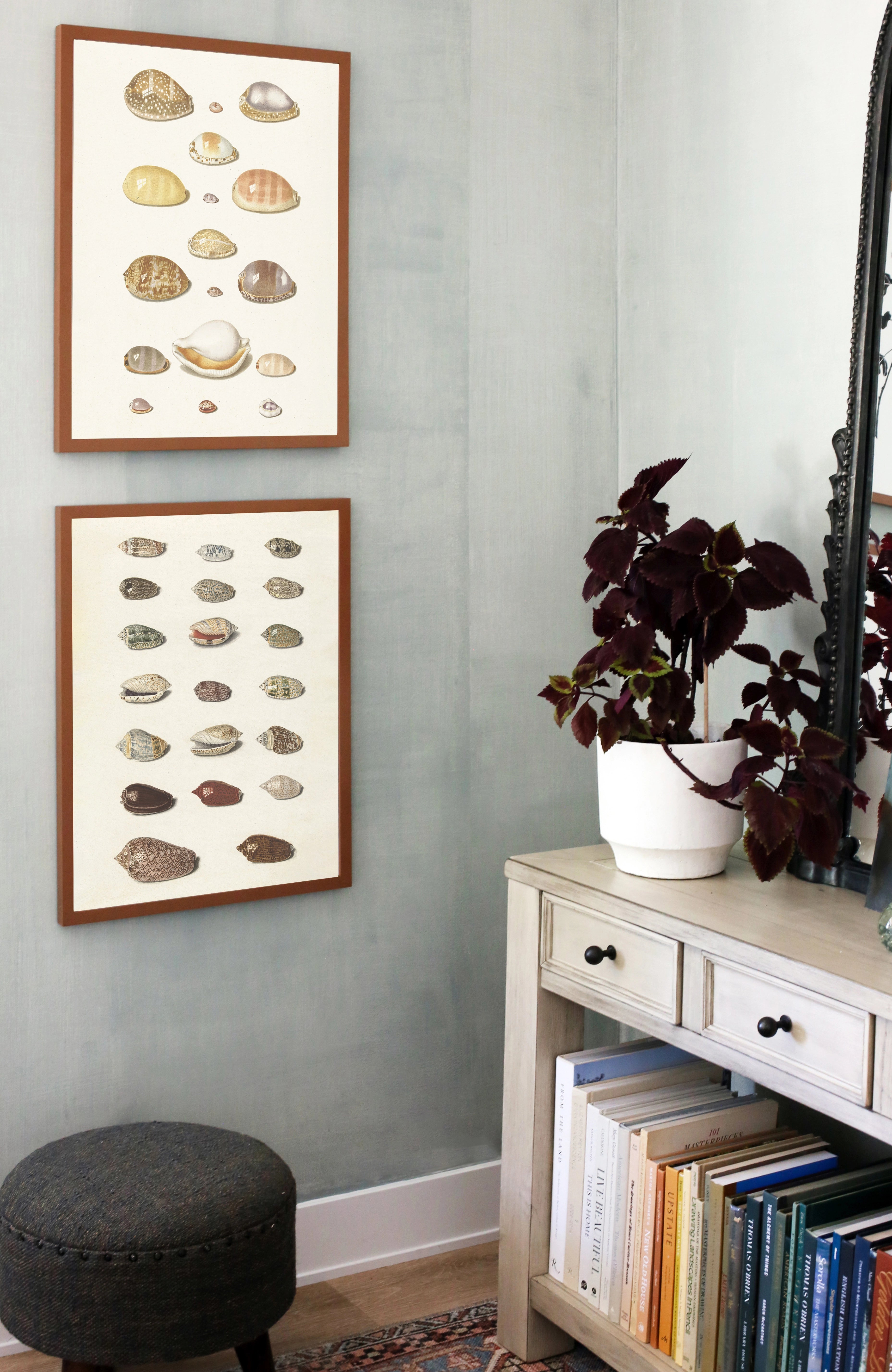Shells I