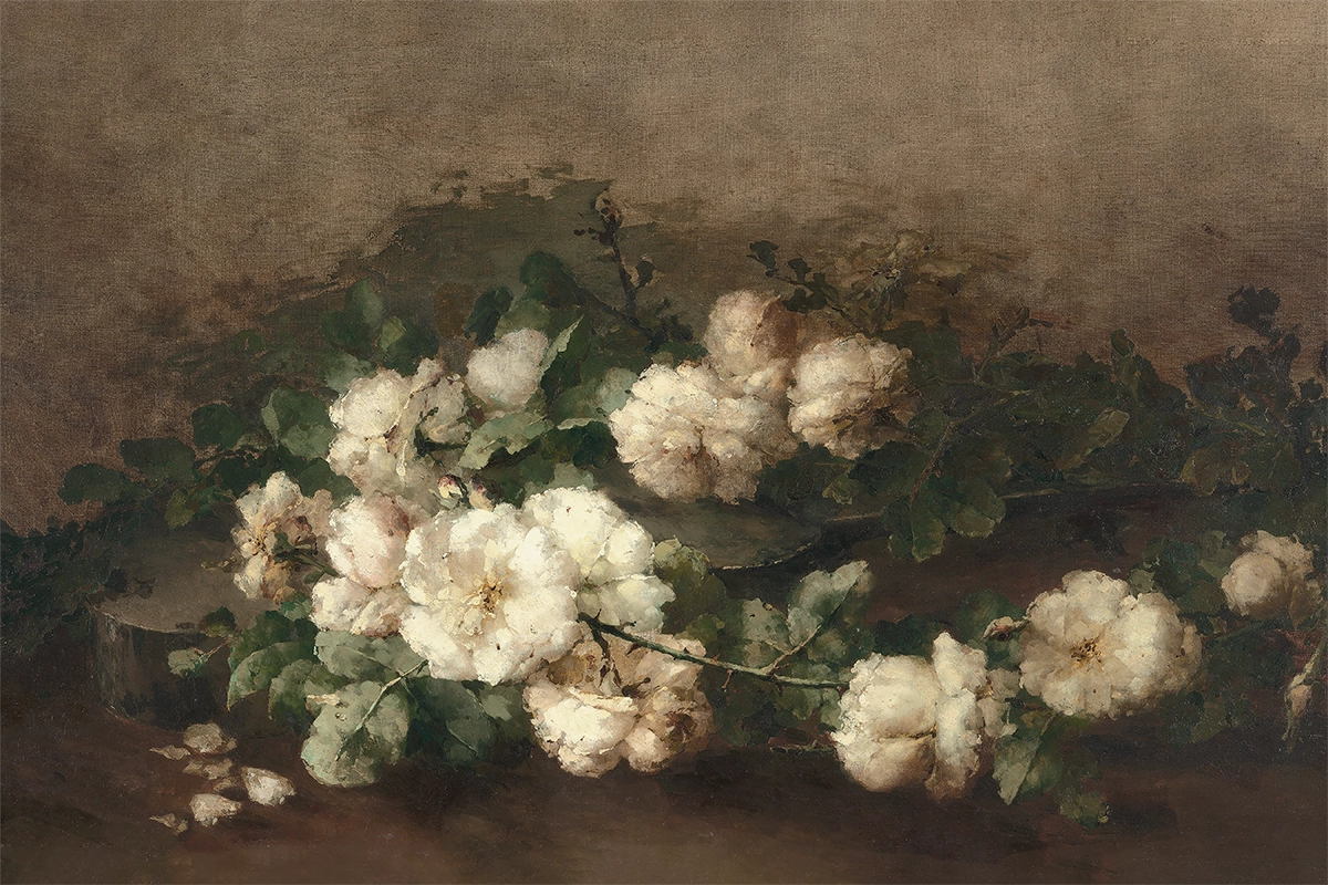 White Roses