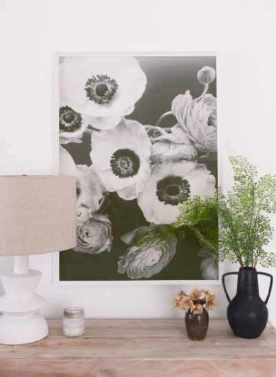 Anemone