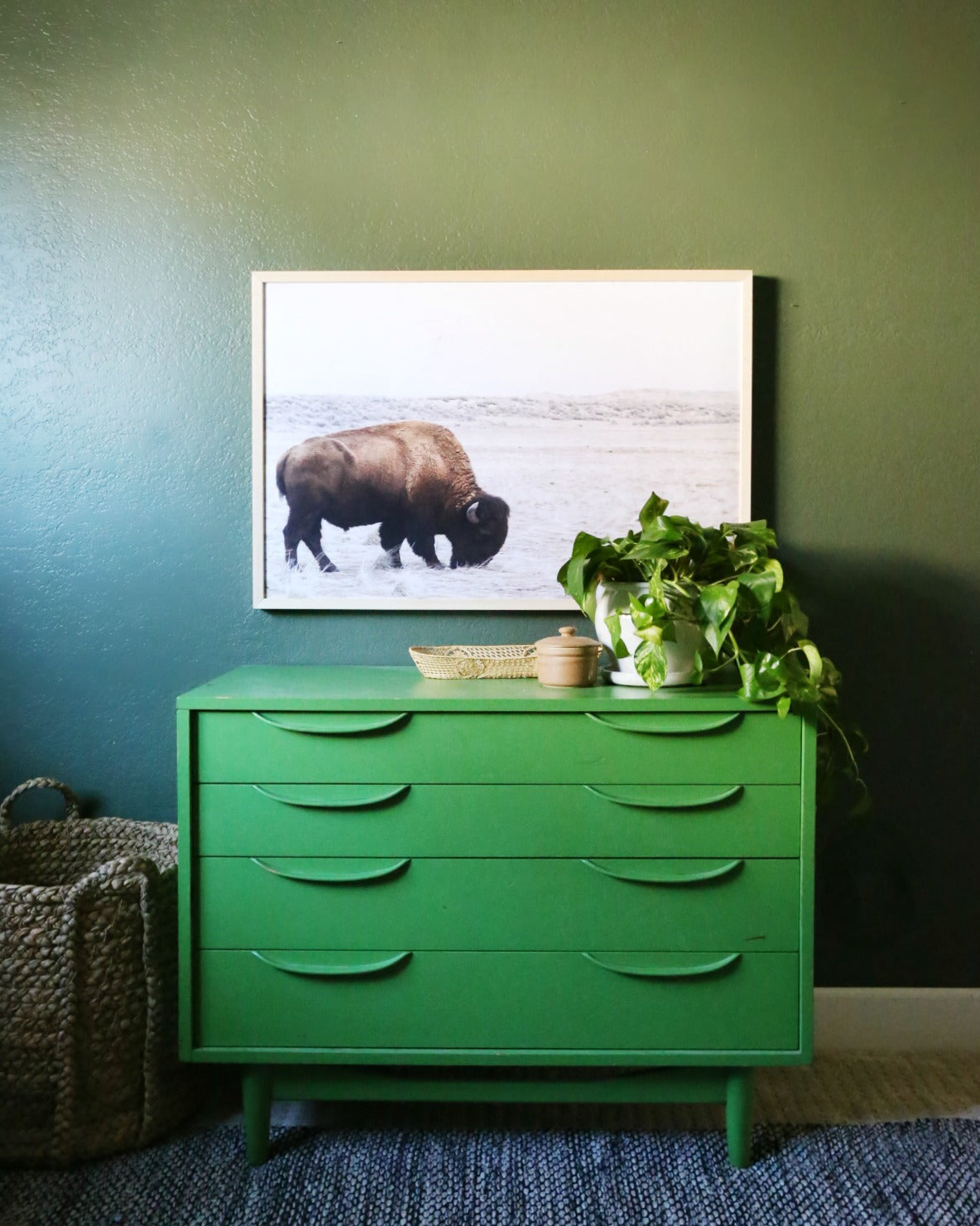 Bison