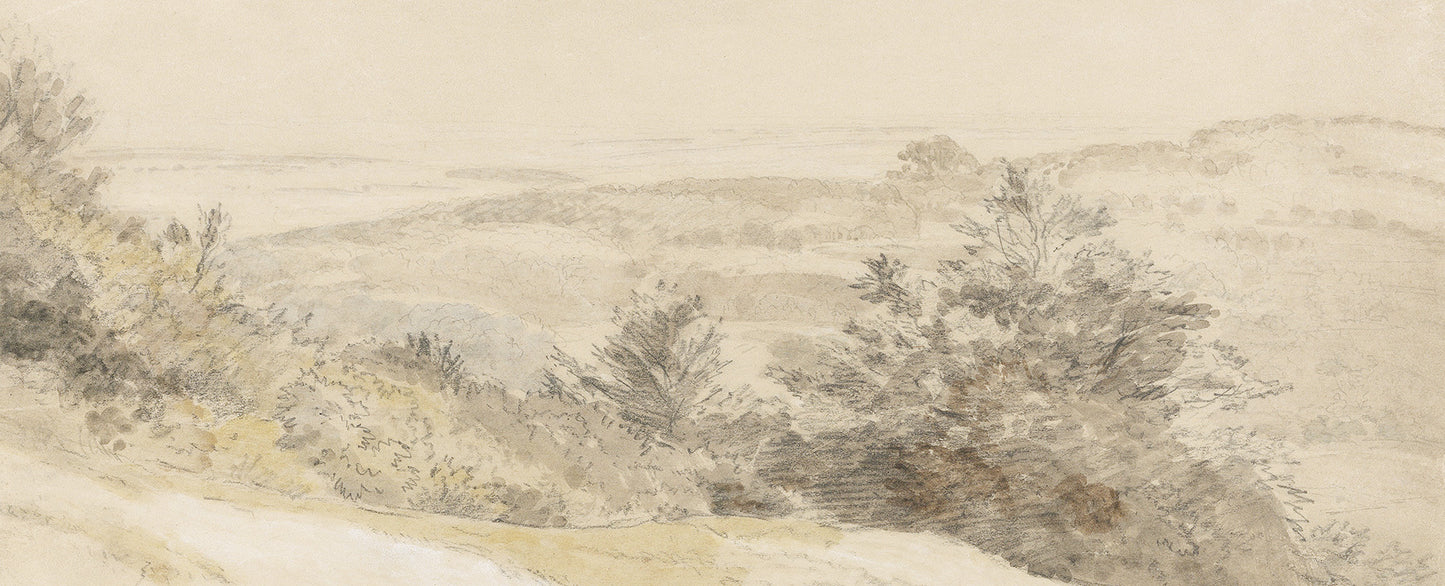 Boxhill