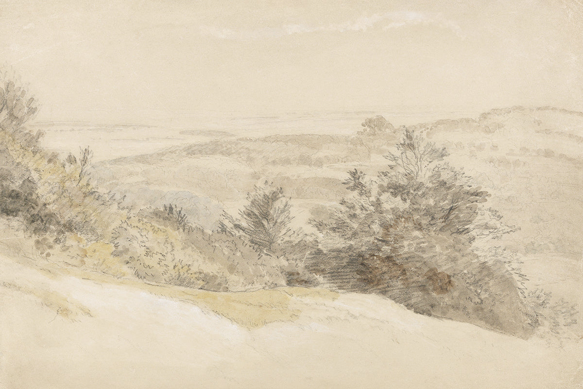 Boxhill