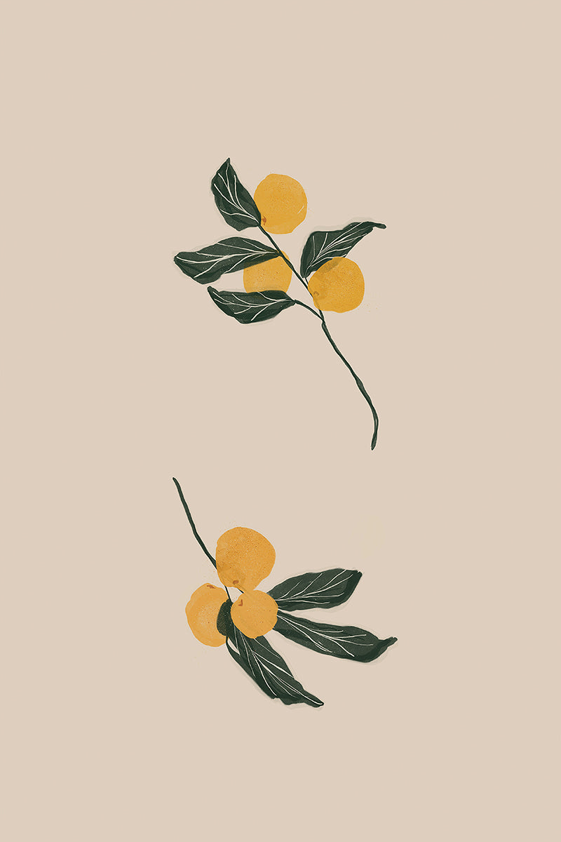 Citrus II