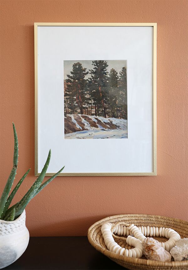 Cedar