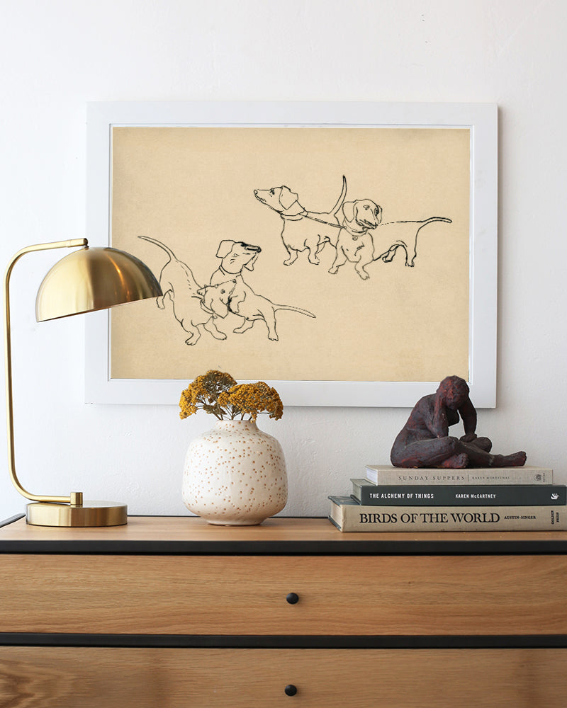 Dachshunds