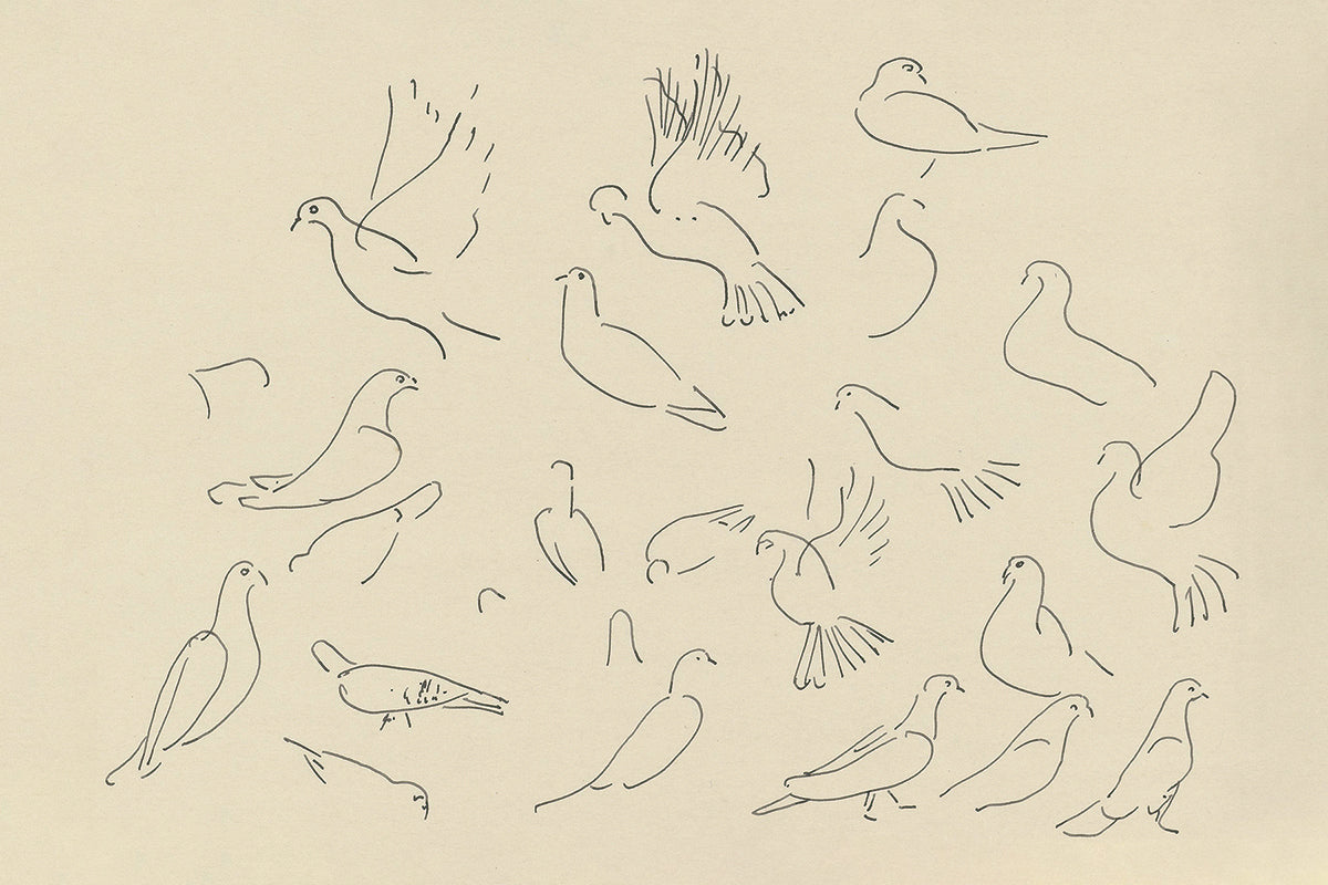 Doves