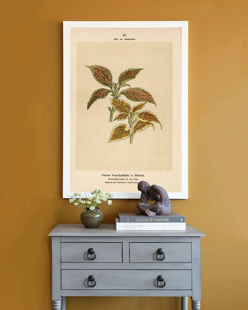 Dutch Botanicals III