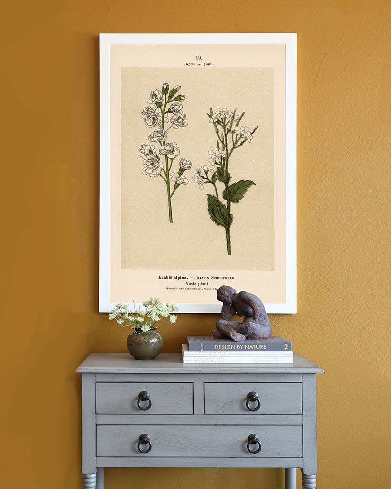 Dutch Botanicals II