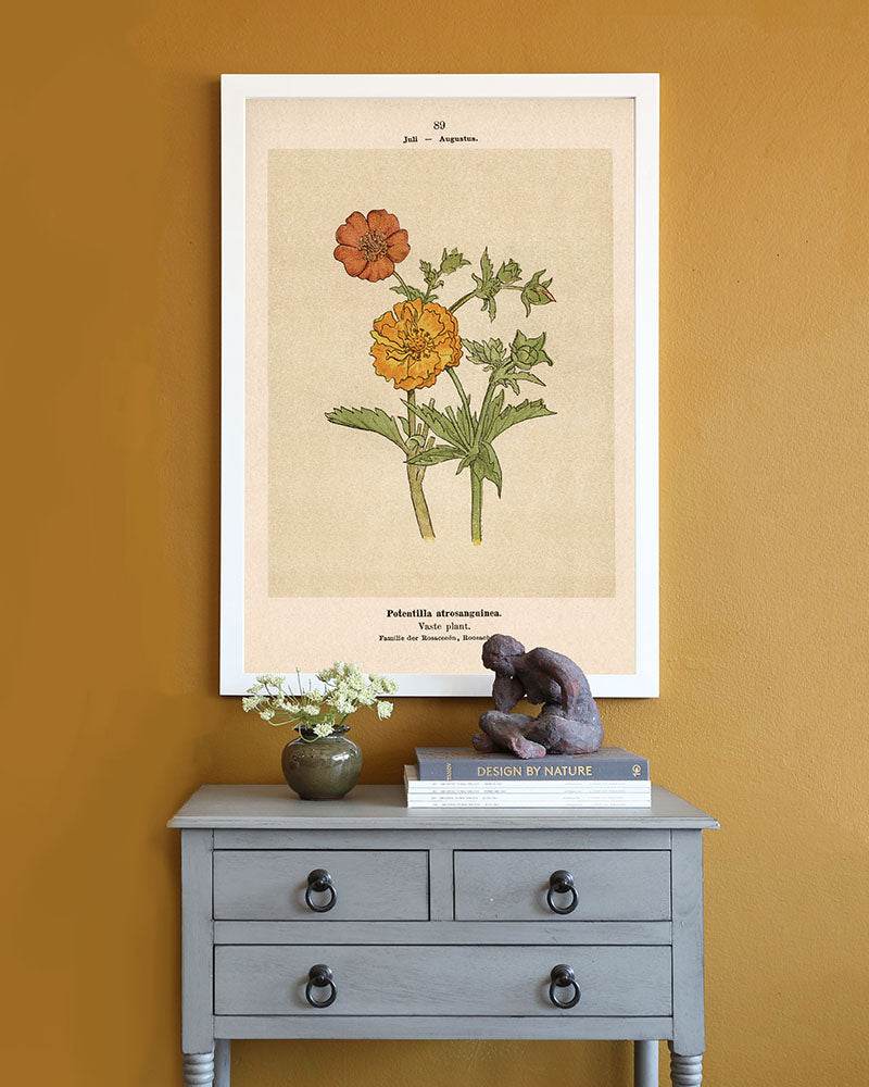 Dutch Botanicals I
