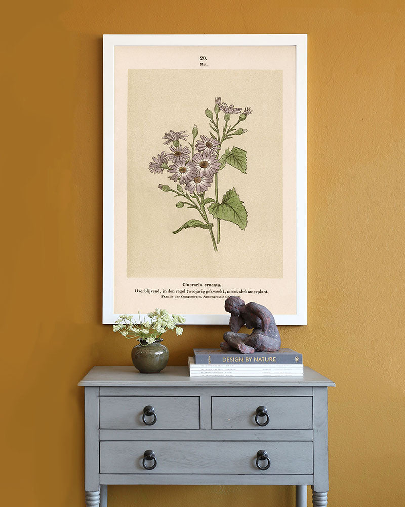 Dutch Botanicals IV