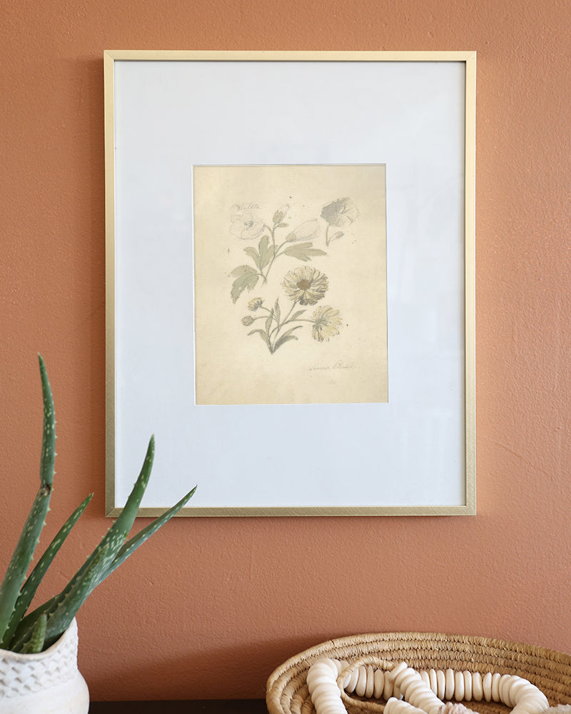 Floral Sketch II