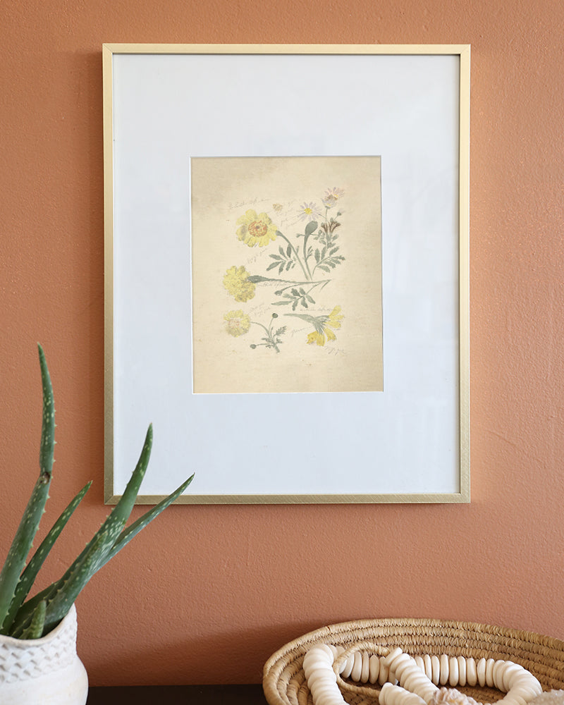 Floral Sketch IV