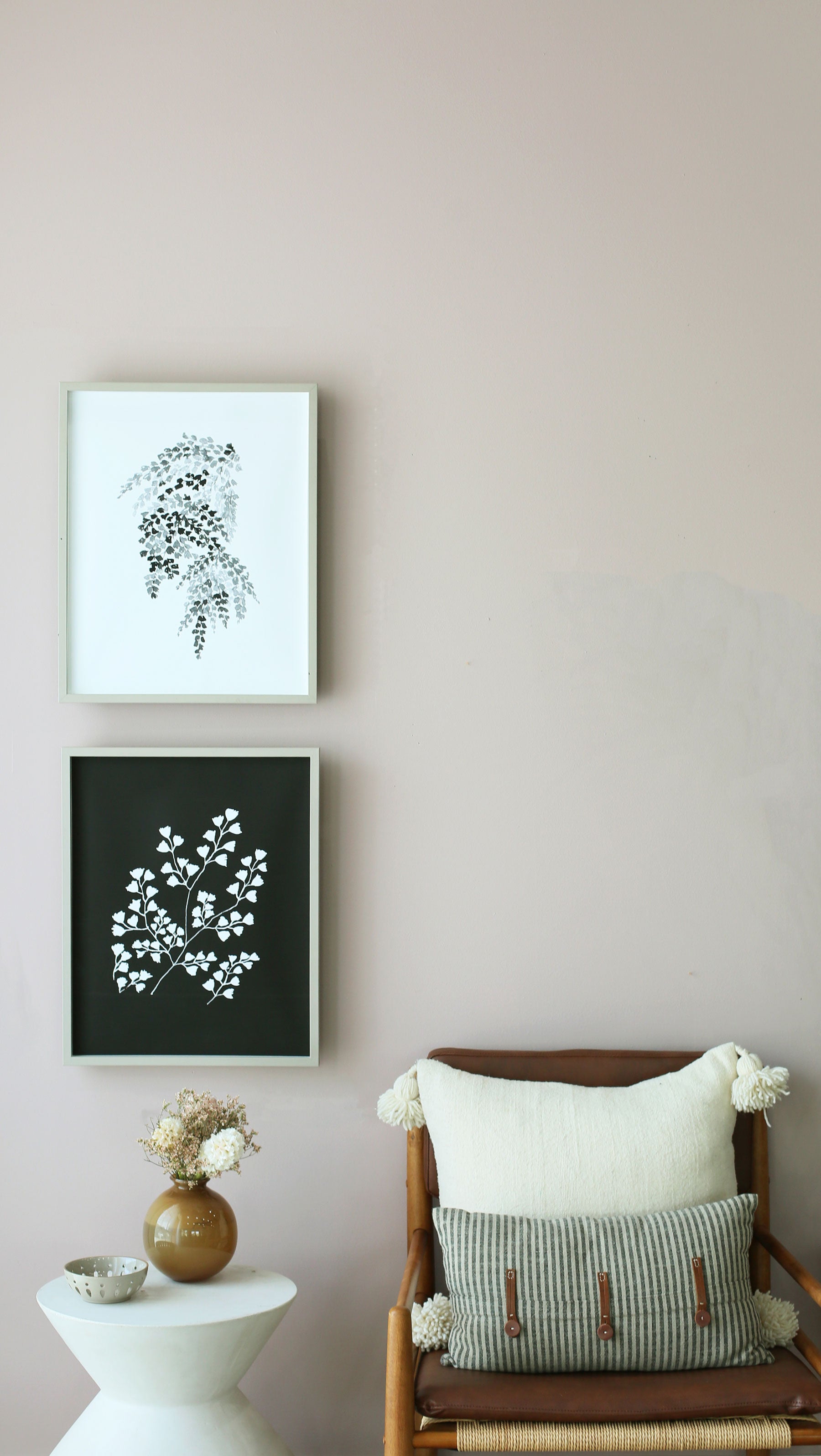 Hanging Fern
