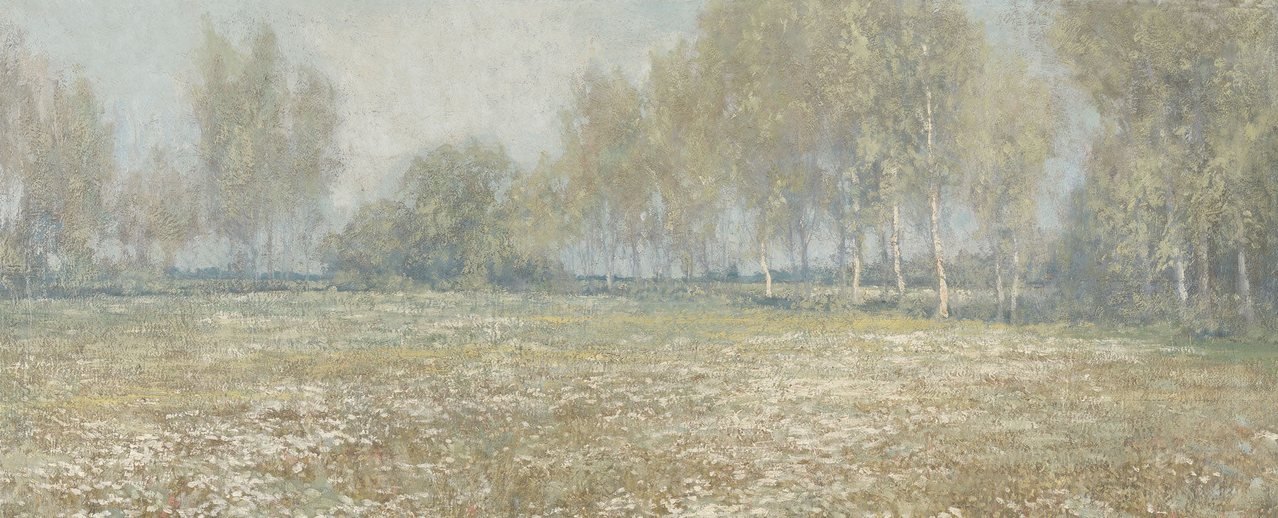 Meadow In Bloom