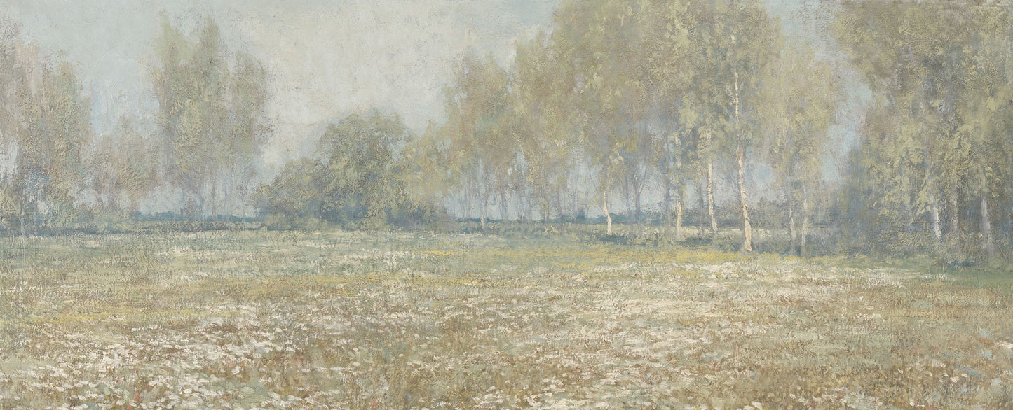 Meadow In Bloom