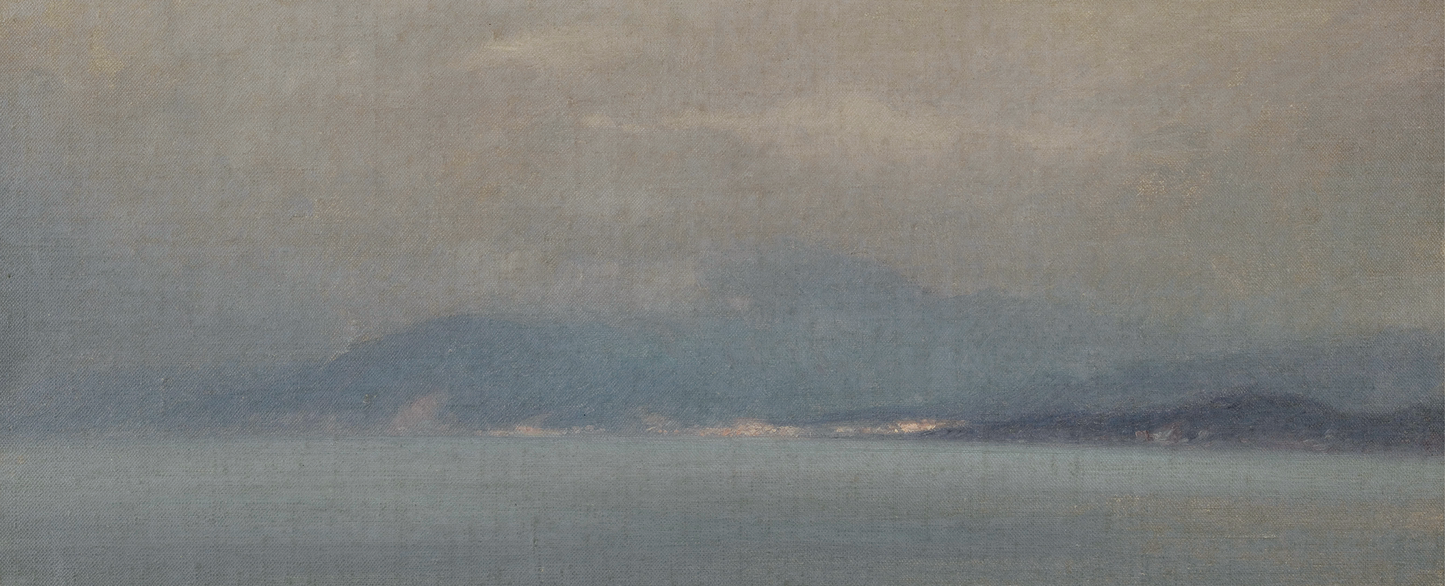 Misty Bay