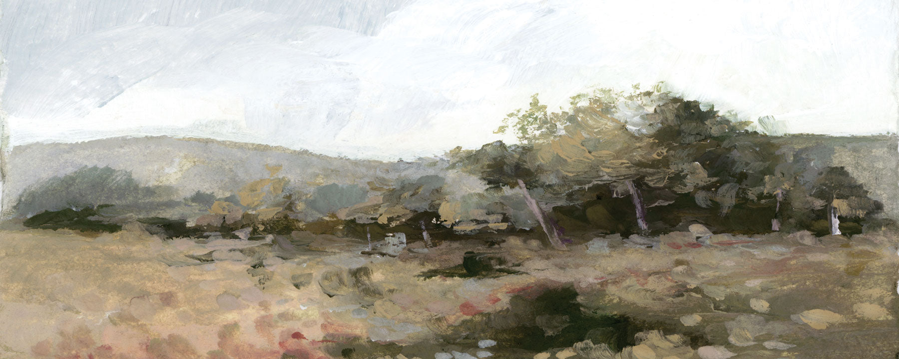 Ruthie's Meadow