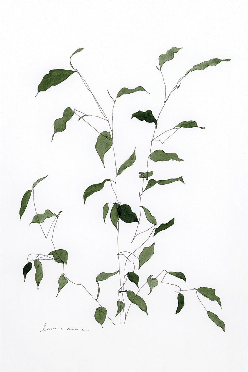 Sprig III