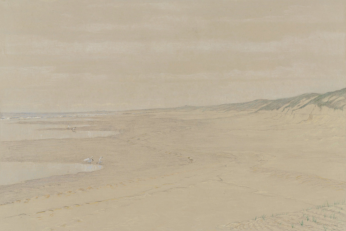 Sandy Beach