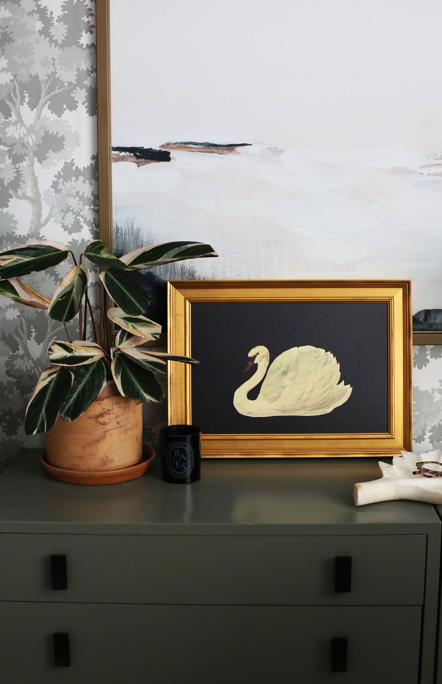 Swan